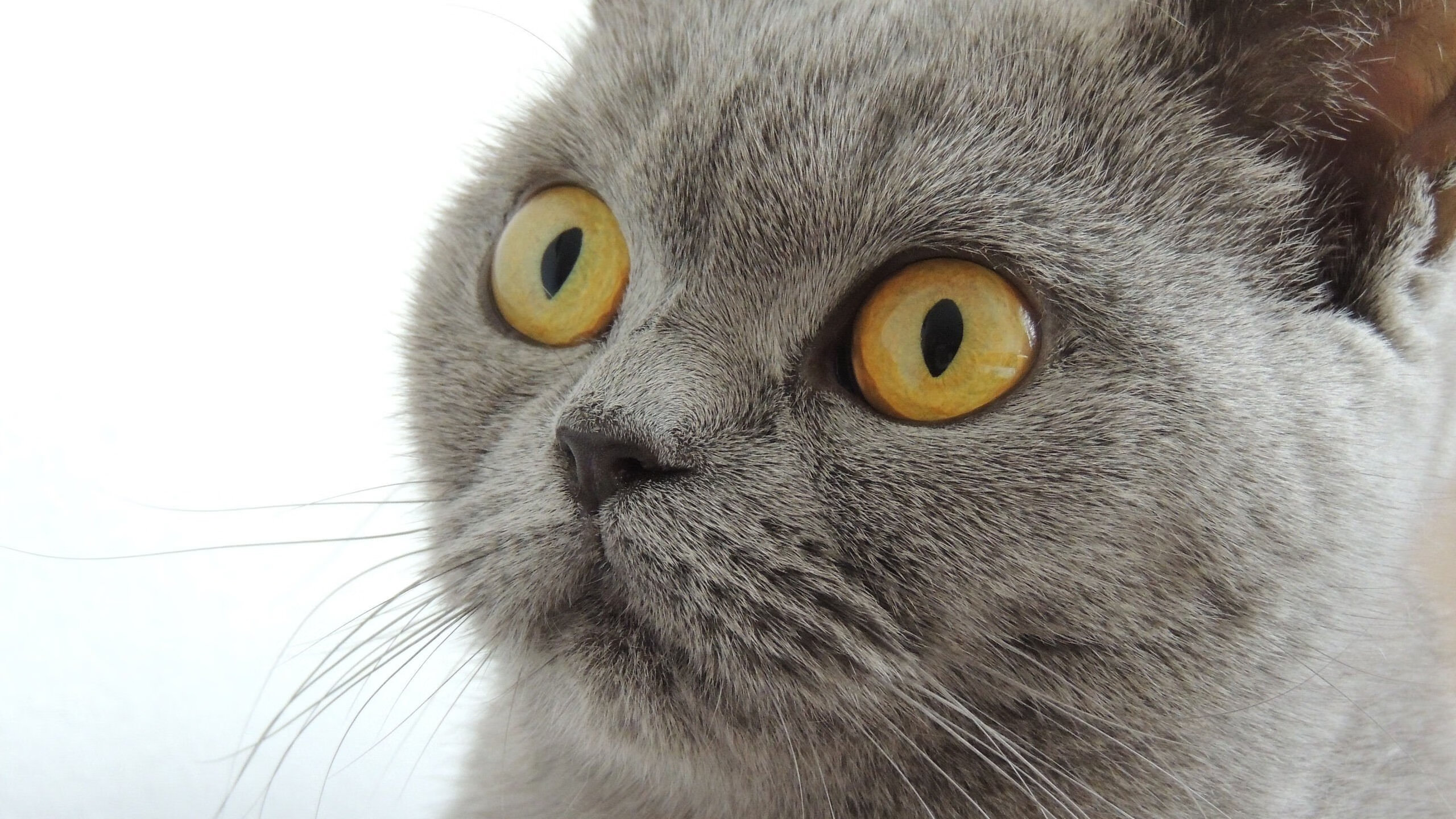 九游网页版官网-【犯规解析】比赛中那些令人尴尬的犯规瞬间集锦，犯规的规则