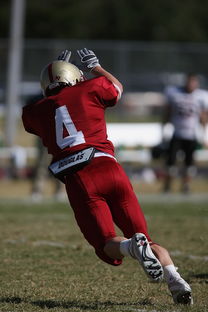 九游娱乐APP-CBA赛季转会期开放多支球队进行大规模阵容调整，cba转会动态2021